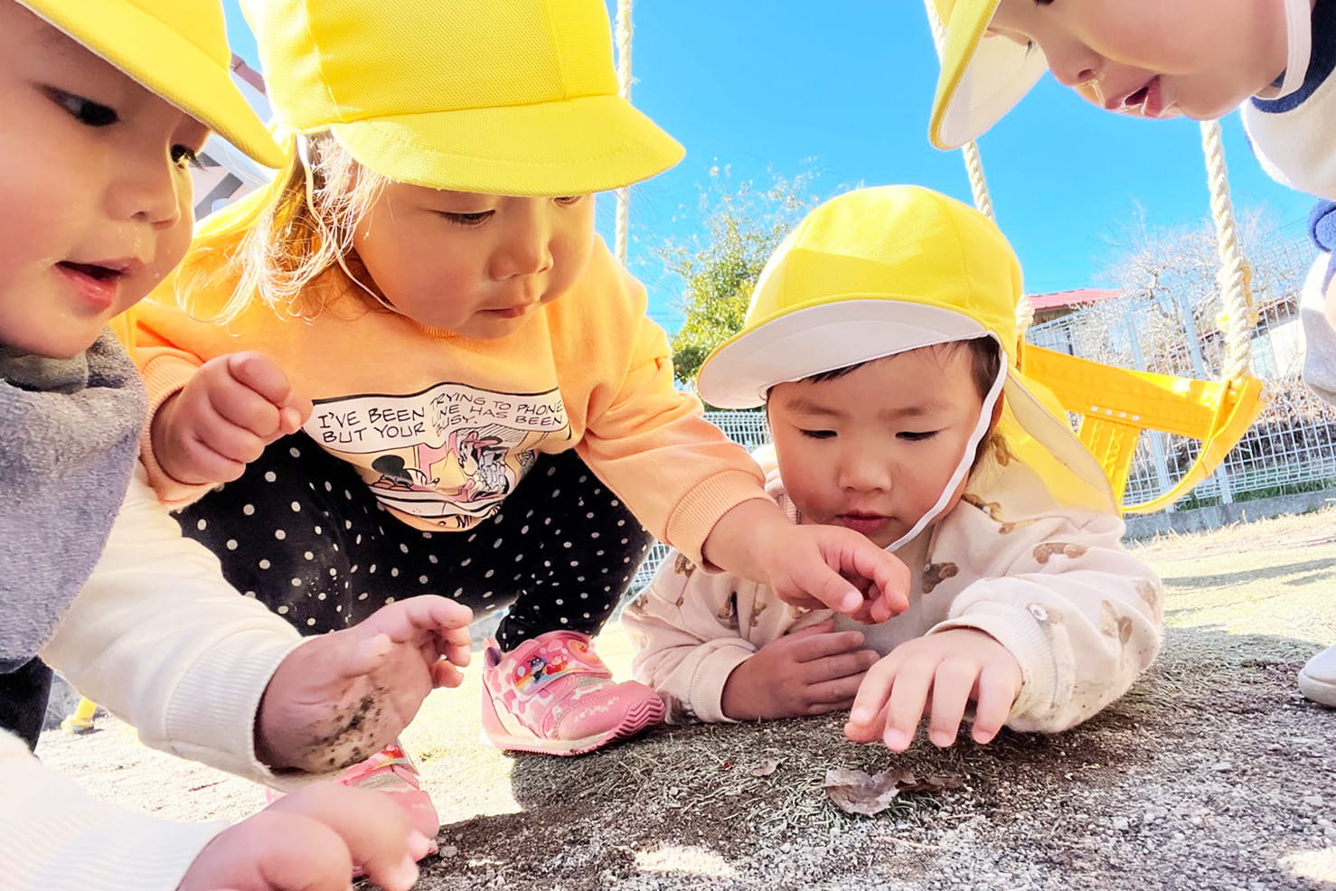 黄色い帽子をかぶった子どもたちが、外で地面を観察しながら遊んでいるシーン