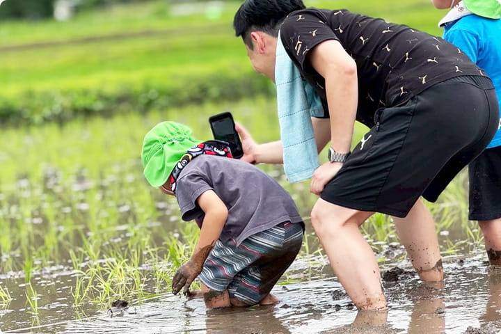 田植え体験をしている園児たち