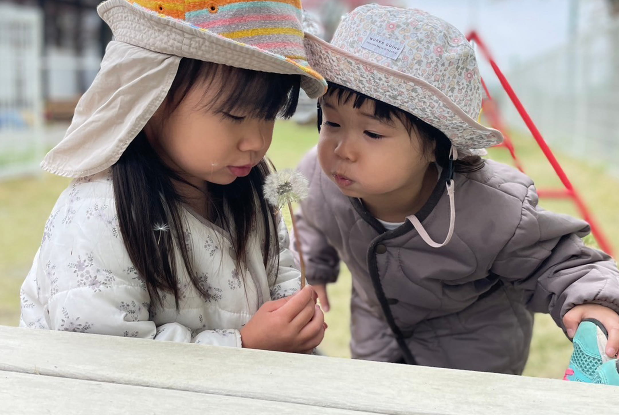 子どもたちが外でたんぽぽの綿毛で遊んでいる様子