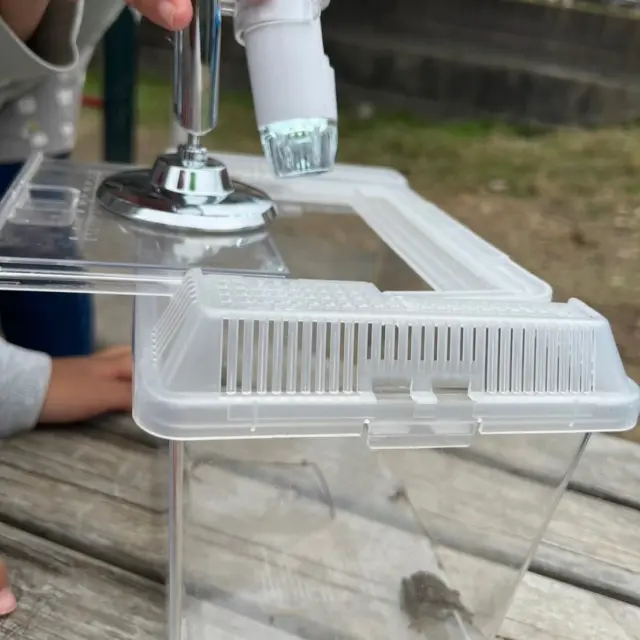 ⭐︎ICTを体験⭐︎

今日のはな組はミクロの世界を体験しました✨わくわくスコープとタブレットを使って捕まえた虫やどんぐりを観察すると、今まで見たことのない姿が👀
「カエルの手ってこんな風に丸くなってるんだー！」
「どんぐりは細かい線が見えるね！」と興味津々の子ども達😊
わくわくスコープならミクロの世界もはっきりと見ることができます✨ピントを合わせたり、タブレットを見つめたりする姿はまるで科学者のようです！いつも図鑑で知ることも、自分の目で見て驚くことで興味関心が深まりますね。

いつもの遊びと一緒に使えるICTツール、未来を生きる子ども達の為に、積極的に取り入れていきたいと思っています♪

#後閑あさひ保育園 
#はなぐみ 
#虫の観察