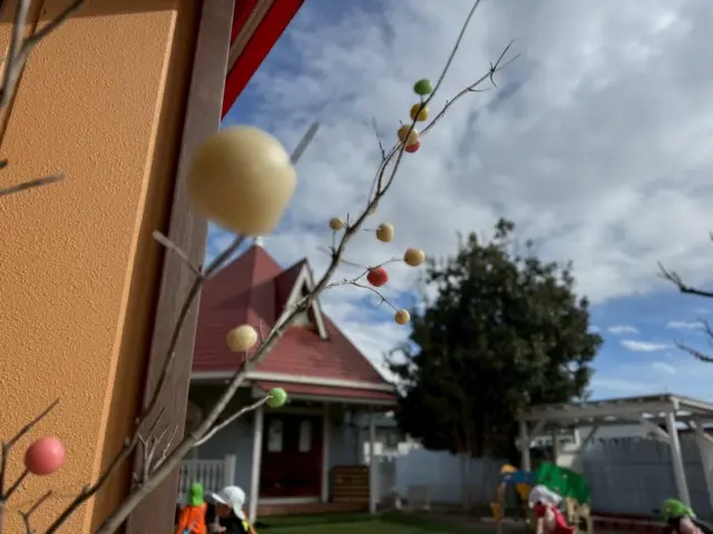 ◦まゆ玉作り◦

今日ちょうちょ、はな組はまゆ玉作りを行いました。

米粉を使って赤・緑・黄・白の4色のまゆ玉を作りました。
お湯を入れて生地をこねていき、きれいな丸い形にしていきます。まるで職人さんのように真剣に取り組んでいました🤭

蒸したまゆ玉は、枝にさして飾り、色とりどりのきれいなまゆ玉飾りが出来上がりました！

群馬県は古くから養蚕業が盛んで、繁栄を願って「まゆ」が大切にされてきました。
その風習から、米粉を丸めて作る「まゆ玉」も親しまれるようになったそうです。
長い間、受け継がれている風習をこれからも大切にしていきたいですね😌

明日のどんど焼きの準備は万端です！
楽しみだね🌟

#後閑あさひ保育園 
#まゆだまづくり