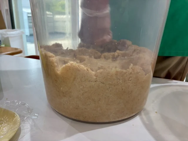 ⭐️はな組クッキング👩‍🍳

はな組さんになって初めてのクッキングは、味噌作りに挑戦！

味噌の素となる大豆をつぶしたり丸めたりしながら、味噌ができる過程に興味津々👀✨
友だちと会話を楽しみながらも真剣に取り組んでおり、食への関心が高まる素敵な時間となりました☺️

これからお部屋の中で、味噌が熟成するまで観察していきたいと思います。

味噌が完成したらどんなお料理に変身するかな？
楽しみだね😆

#後閑あさひ保育園
#クッキング 
#味噌作り