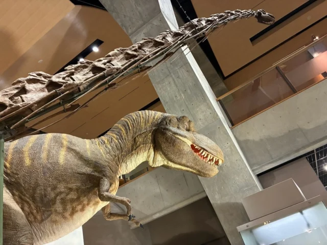 🦖 園外保育 🦕

今日、はな・ちょうちょ組は群馬県立自然史博物館へ行ってきました！🚌

館内には、大きな恐竜や化石、動物の剥製など、子どもたちが興味津々になるものがいっぱい👀✨

昔の人の暮らしにも触れ、「これはなに？」「大きい！」とたくさんの発見を楽しみました🌿

そして、お楽しみの恐竜シアターでは、まるで恐竜がいた時代へタイムスリップしたかのように、目を輝かせながらじっくりお話を聞いていた子どもたち🦕✨

見て、感じて、たくさんの「なんだろう？」に出会えた楽しい園外保育になりました☺️🌈

#後閑あさひ保育園
#園外保育
#自然史博物館