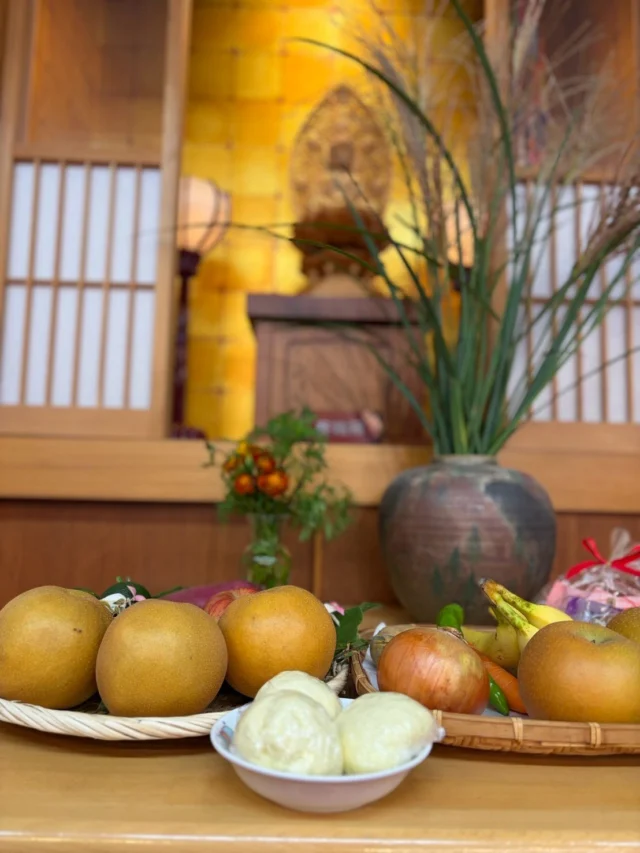 🌕おまんじゅう作り🎑

今日は、はな・ちょうちょ組のお友だちで、十五夜のおまんじゅう作りを行いました。

地域のおばあちゃんたちを先生にお招きして作っていきます！
あんこを丸めて、生地を伸ばして優しく包んでいって･･･
難しさを感じながらも給食の先生やおばあちゃんたちに教えてもらうと「できた！」と嬉しそうな表情♡
満月のような綺麗なおまんじゅうが出来上がりました✨

おまんじゅうが蒸し上がるまでは紙芝居や絵本を見て、最後まで楽しむことができました。

蒸し上がったおまんじゅうはホカホカで甘くていい香り！

25日は中秋の名月。
ぜひ、みんなでお空を見上げてみてくださいね🌕
お月様の中のうさぎさんも見つけられるかな？

#後閑あさひ保育園
#おまんじゅう作り